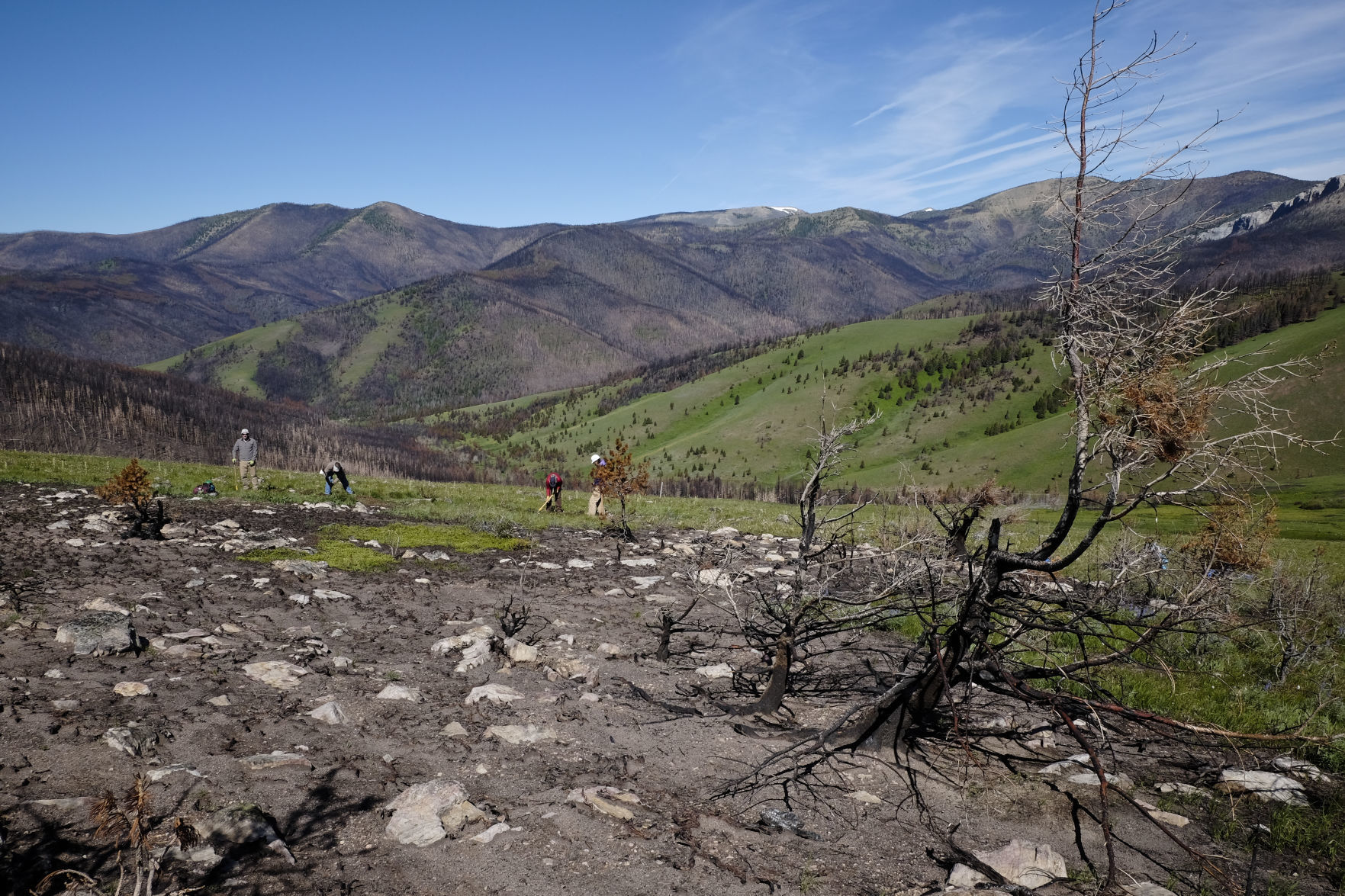 The Alice Creek Fire's effect